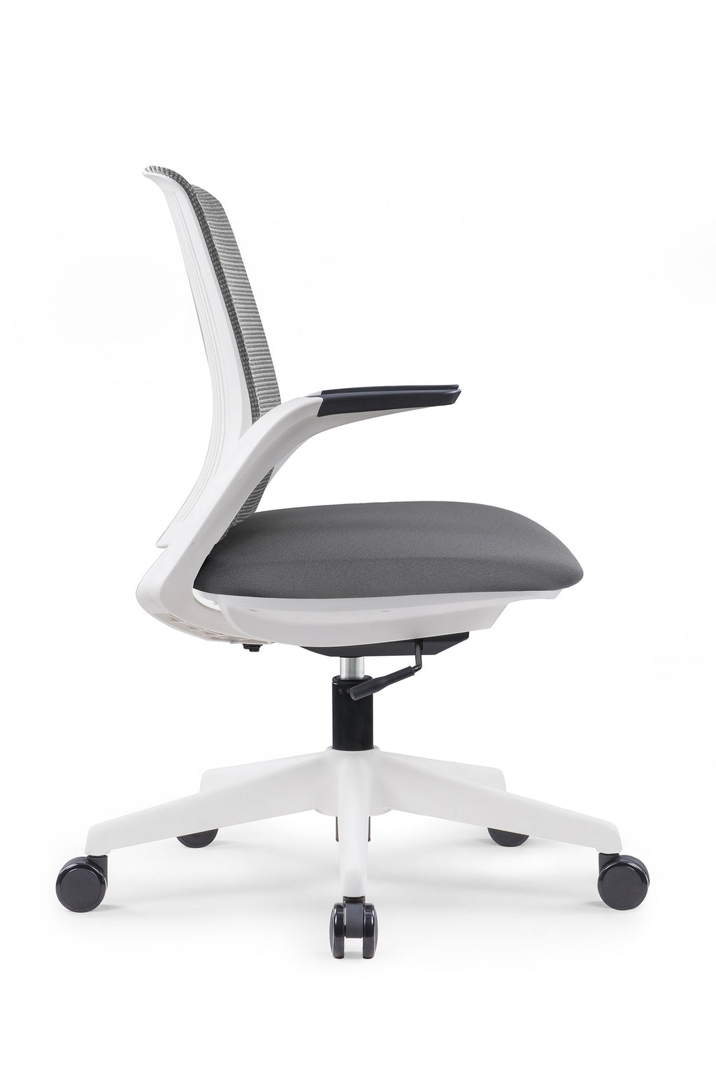 WHALE OHE-100blanco