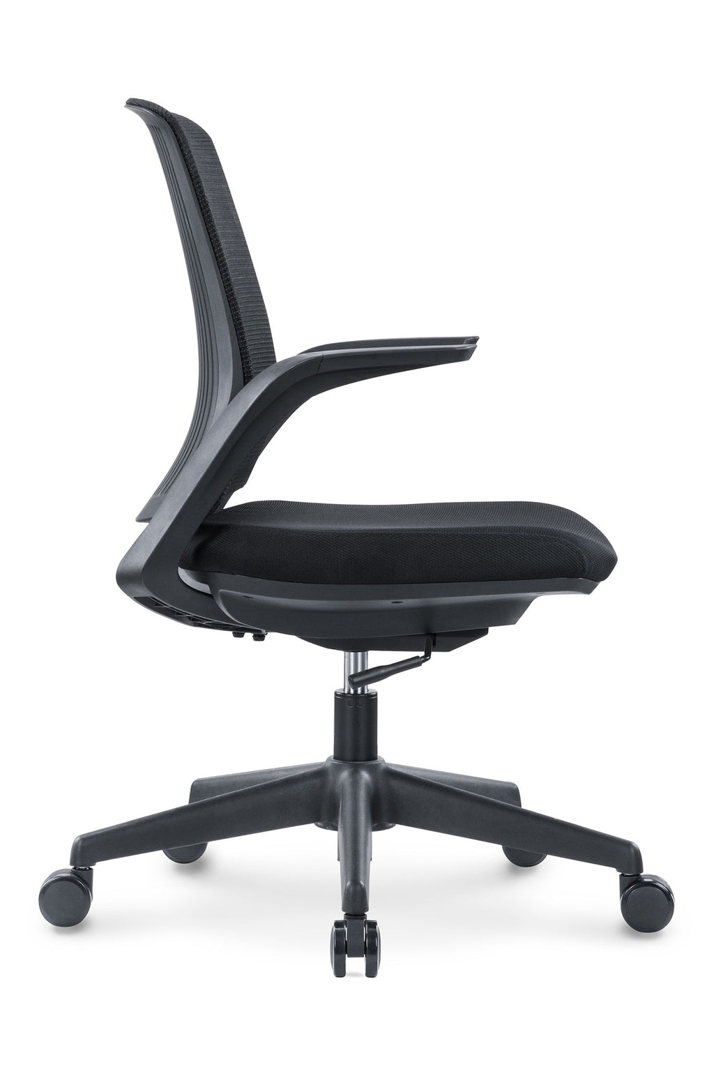 WHALE OHE-100negro